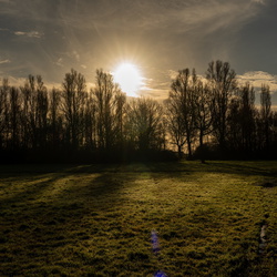 Natuur