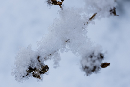 Winter Hoogkarspel 2026