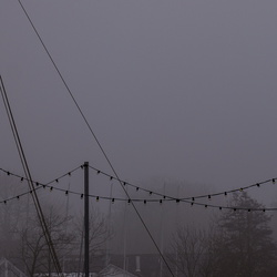 Mist