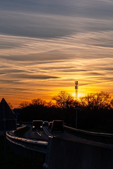 Natuur